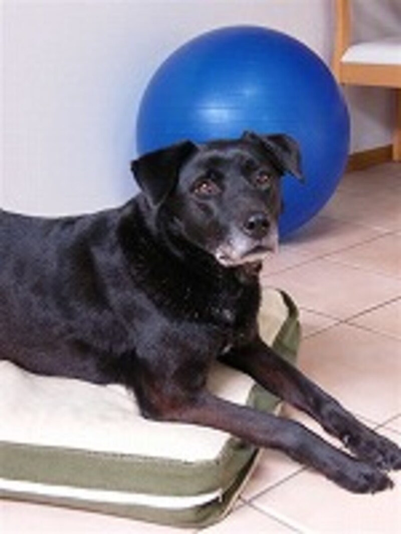 部屋にある小物を利用