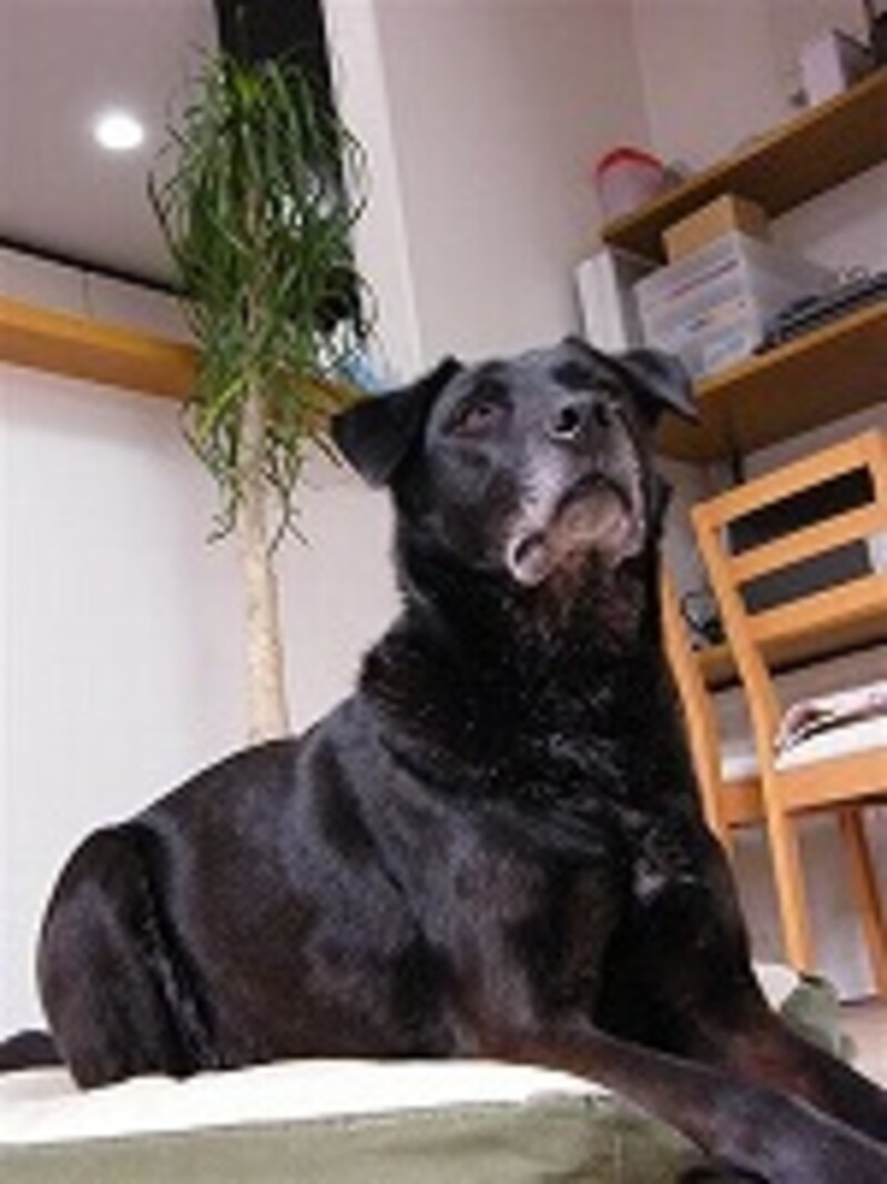 小物とアングルを変えてみる