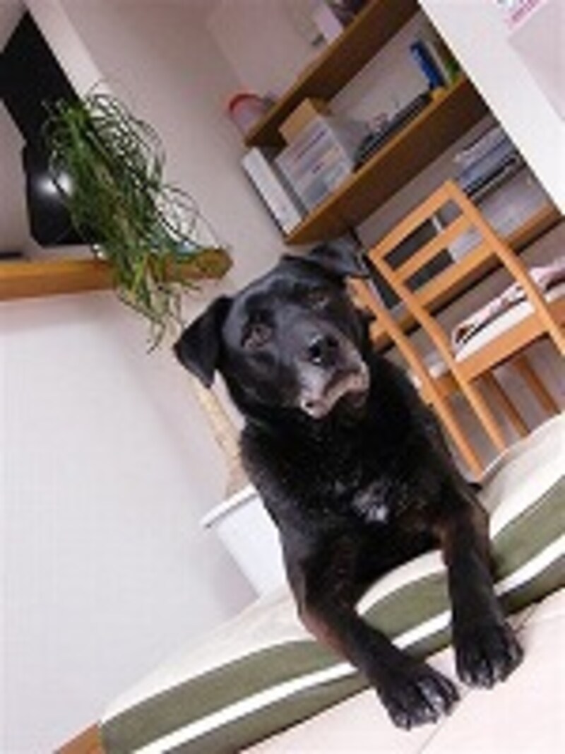 カメラを斜めにして、ちょっと味付け