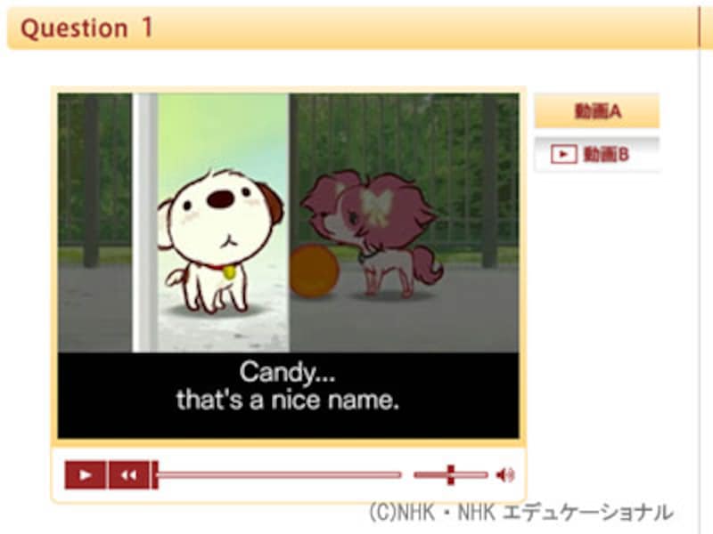 ネットでできるミニテスト