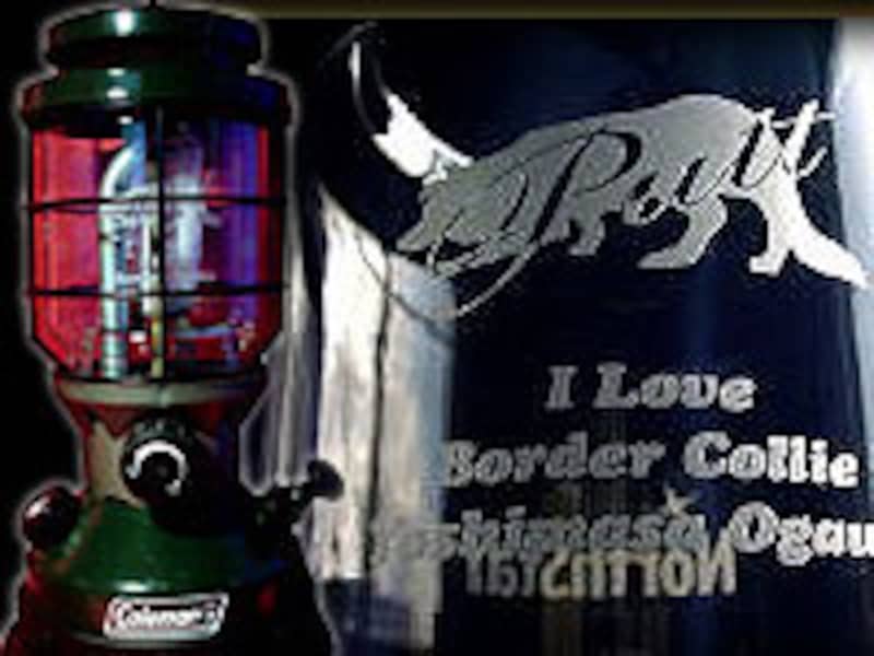 ランタングローブ(ホヤ)エッチング彫刻