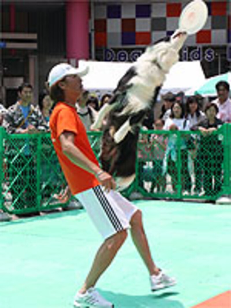 見事なキャッチ!