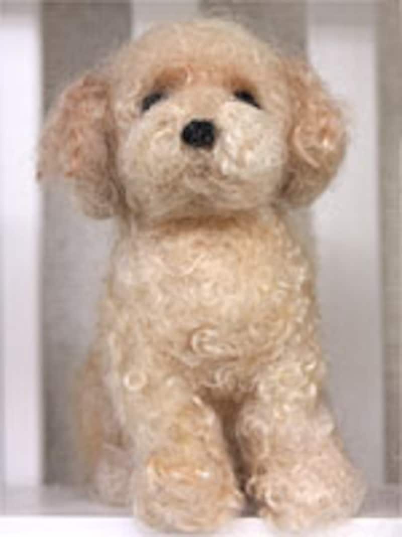 本物そっくりなプードル