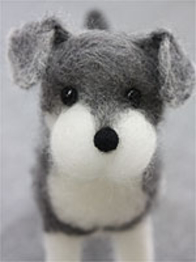 グラスアイで目をつける