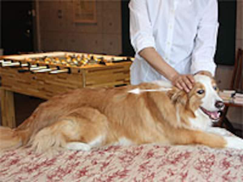 頭から背筋を取って腰へ