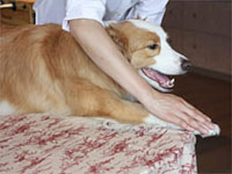 足先までタッチ