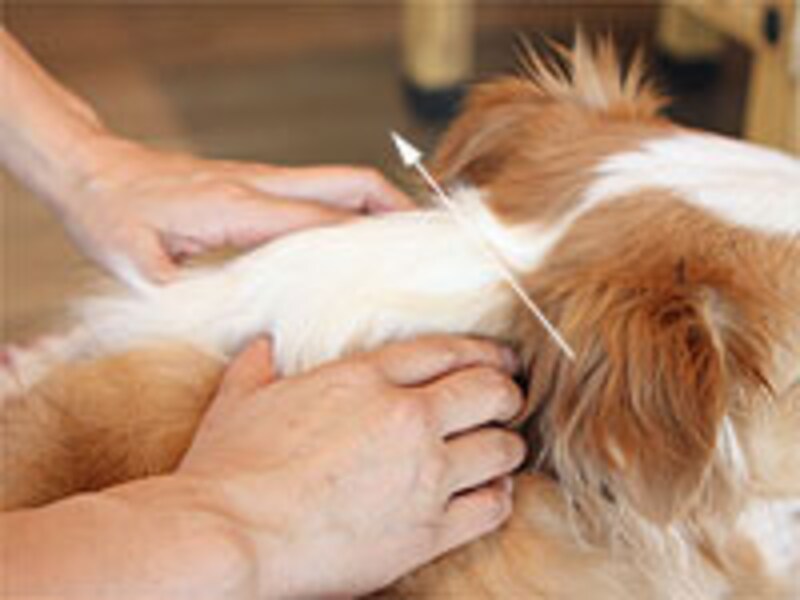 大きく皮膚を持ち上げる