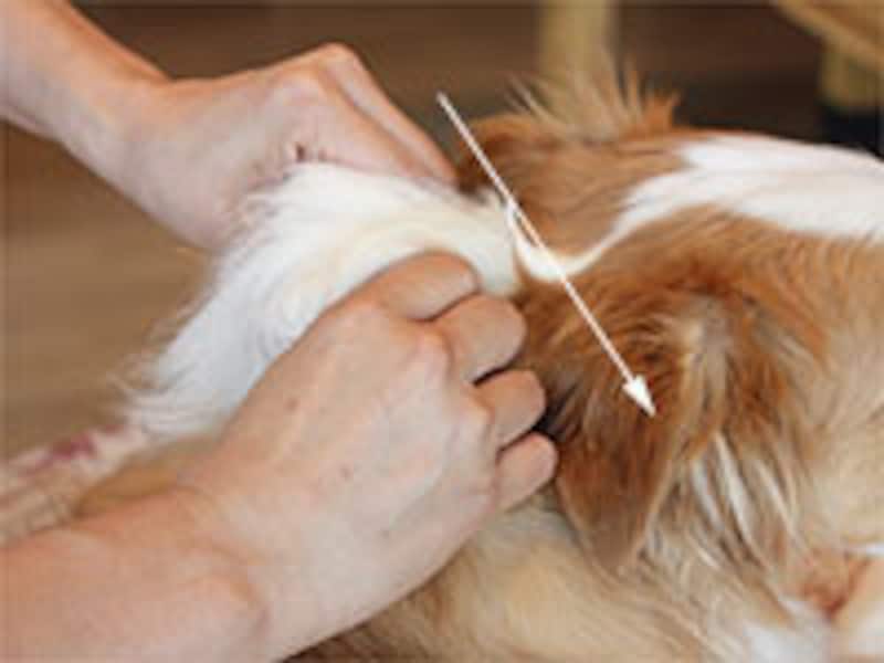 ふわっと手も下ろす感じで戻す