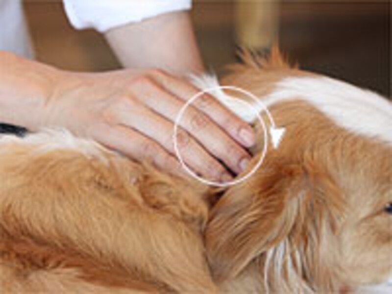 時計回りに８回