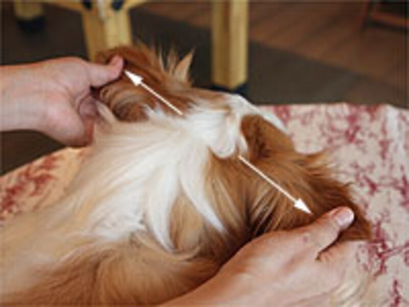 先端でキュッと少し圧をかける