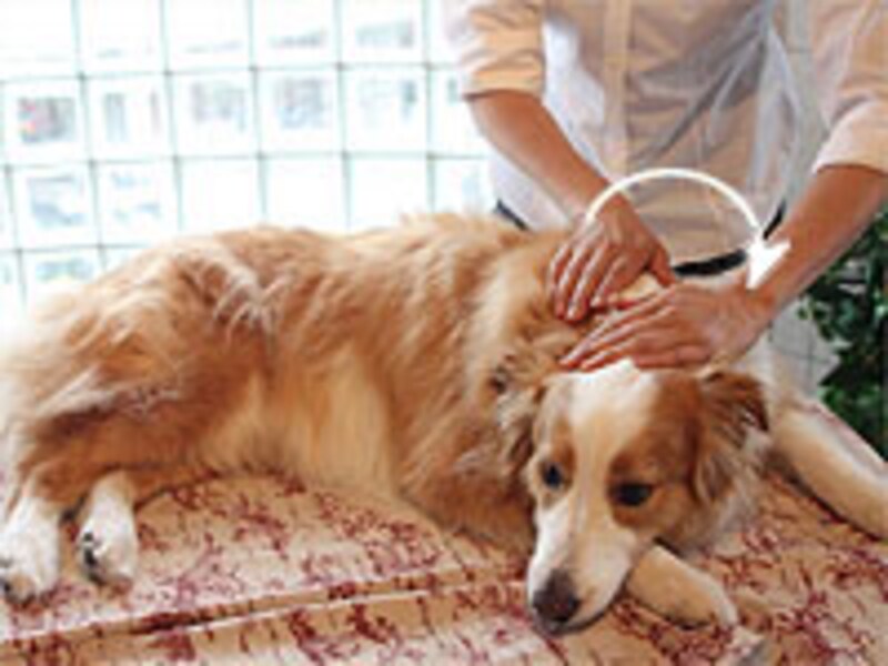 背筋に沿って手を交互に滑らせていく