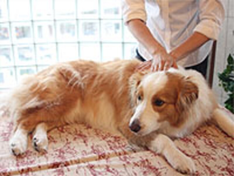 片手が少し移動したら、もう片方はすぐに動き出すように