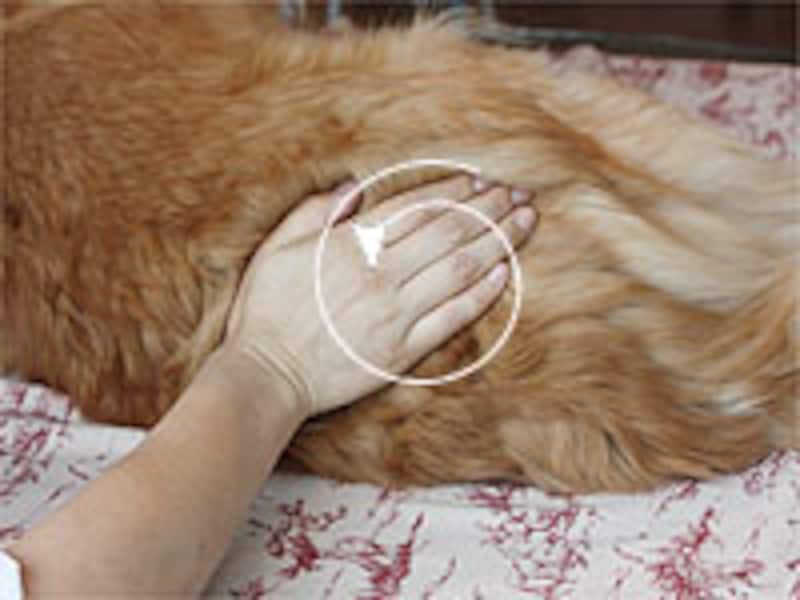 反時計回りに12回