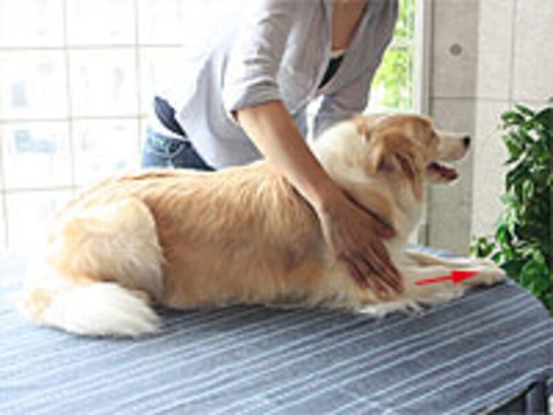 指先は地面につけるようなつもりで