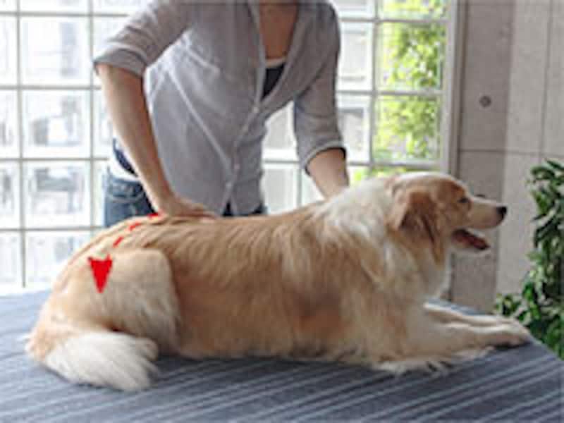 指先は地面へ向くように