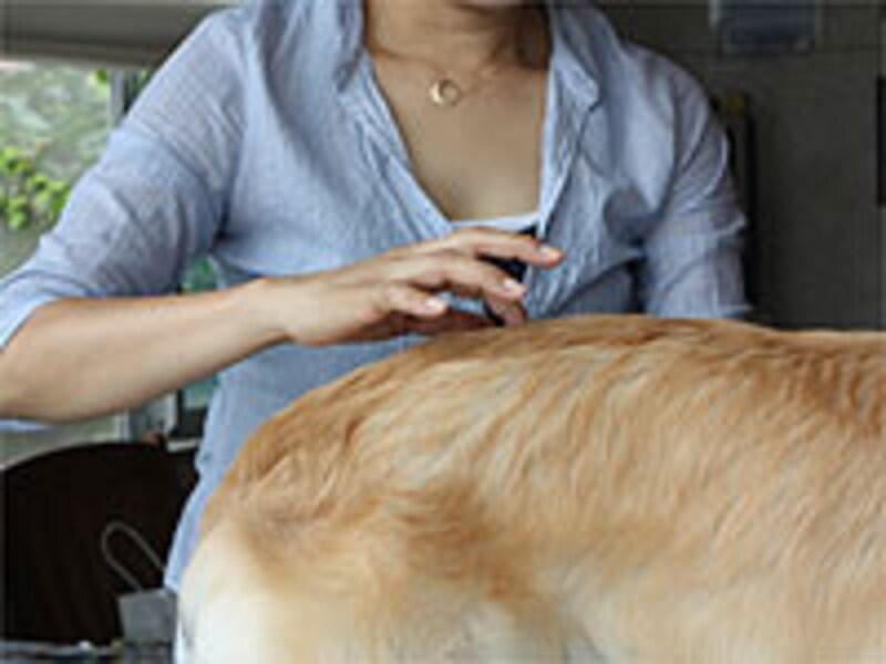 背骨の突起にはあたらないように注意