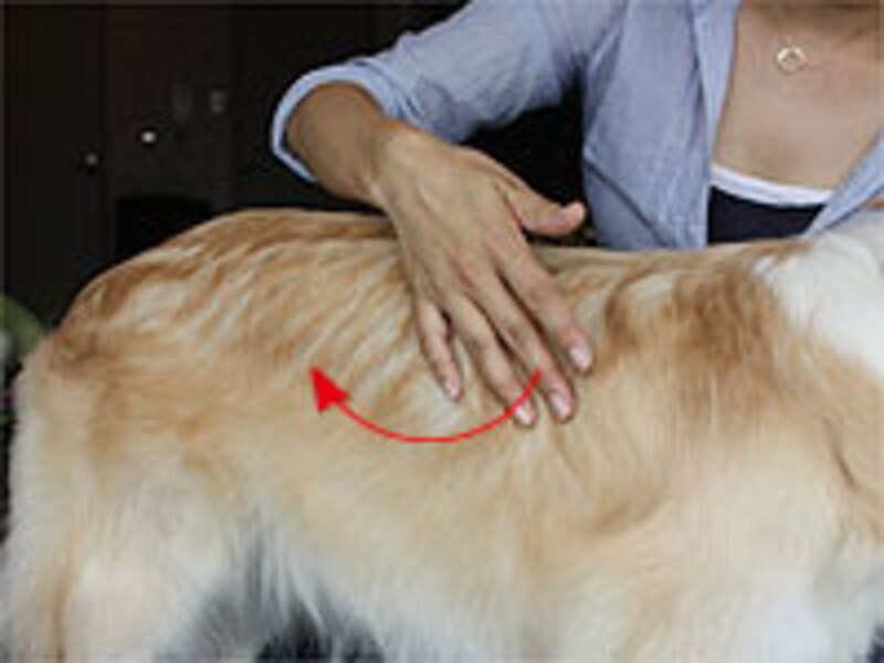 腕の力を抜いて、粉雪を掃うようにサッサッサッと