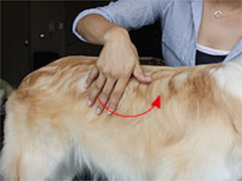 力が入り過ぎないように