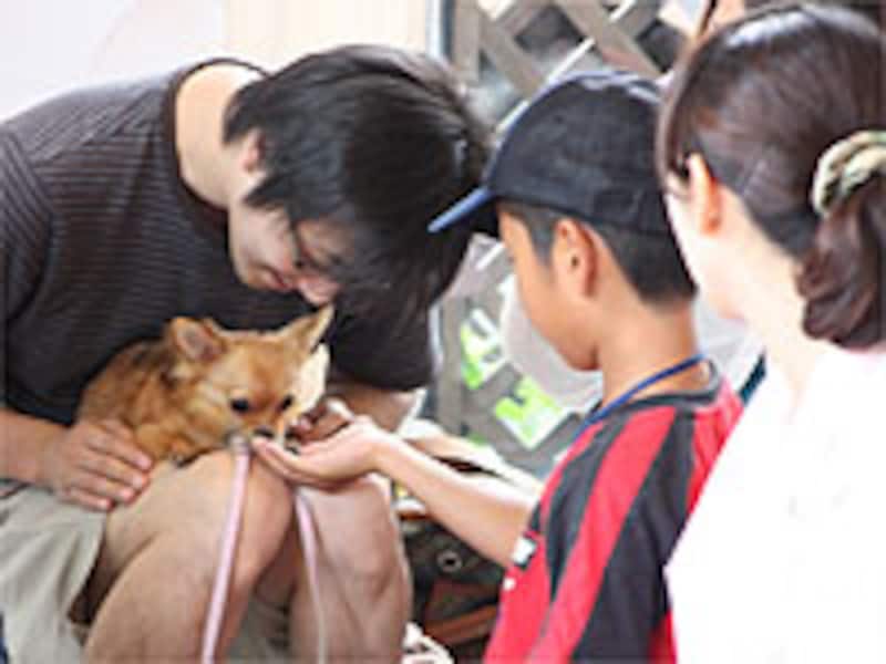 人に慣れさせるトレーニング