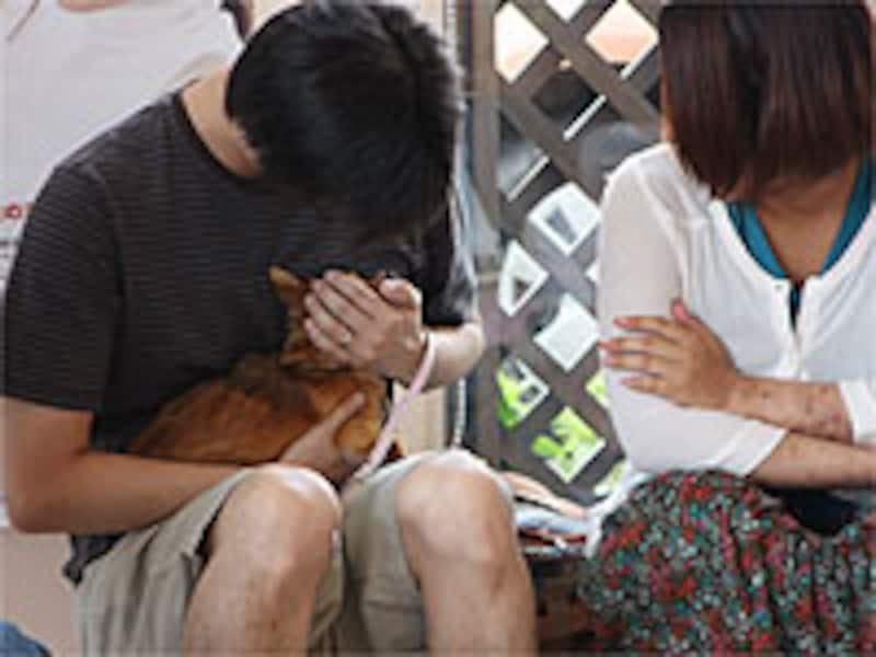 興奮して吠えた時の対処法