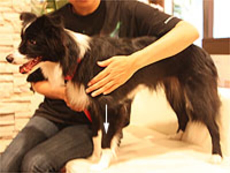 手の平全体で包み込むように滑らせていく