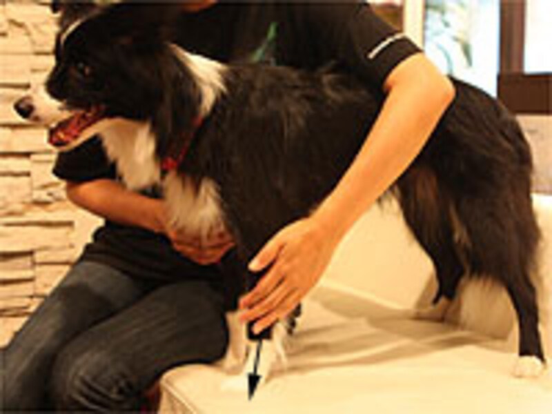 足の先までをタッチ