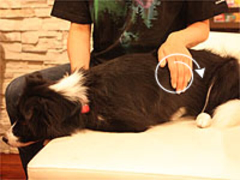 手の平を少しずつずらして、同じように円のタッチを