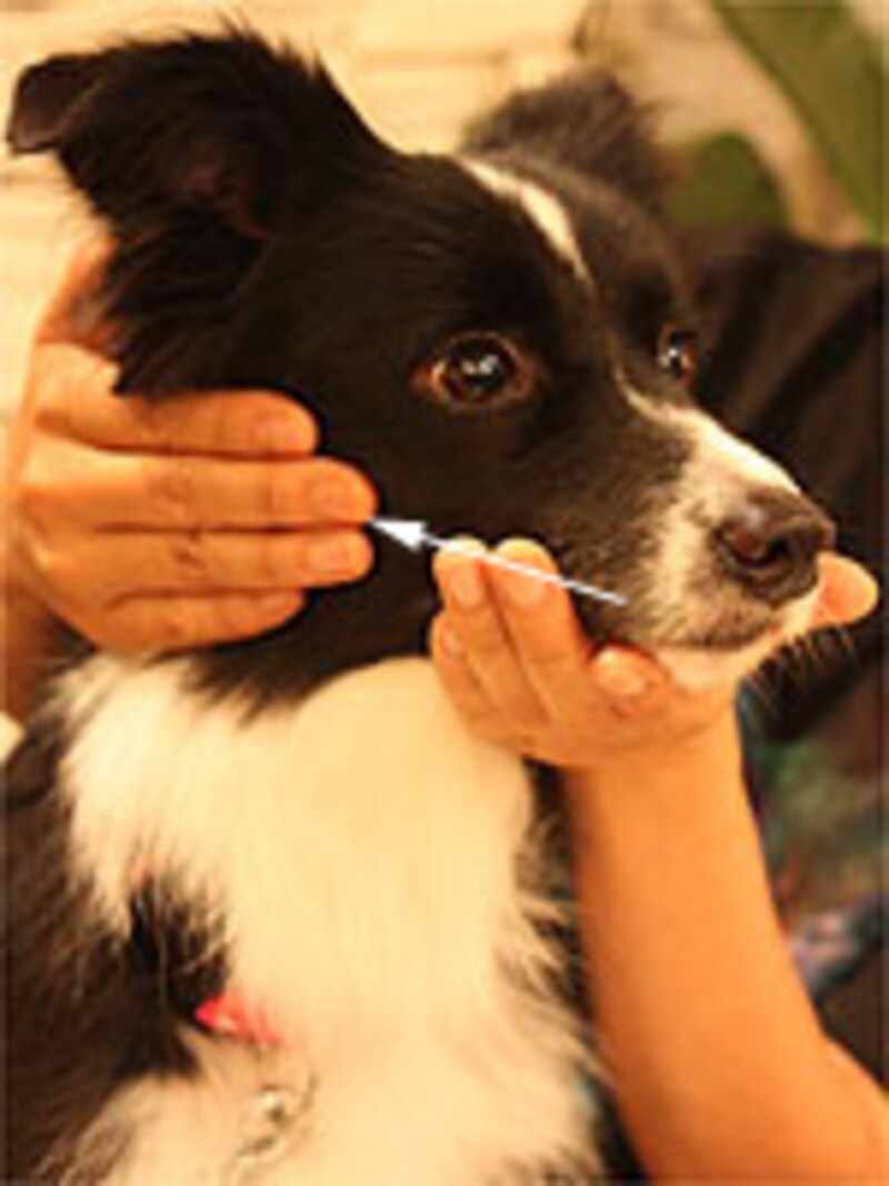 引っ張るのではなく、撫でる感じ