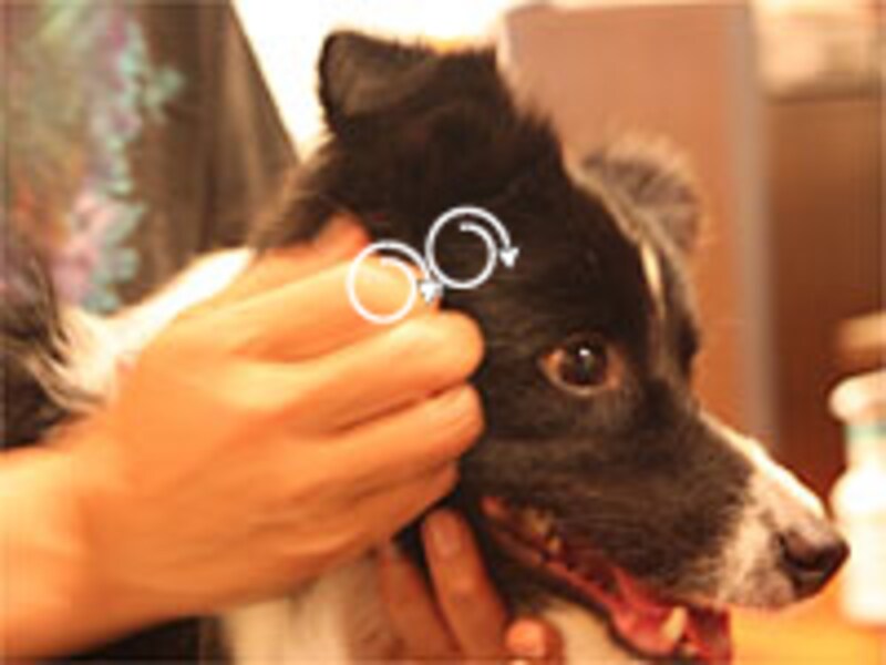 小さな円を描きながら、少しずつずらしていく