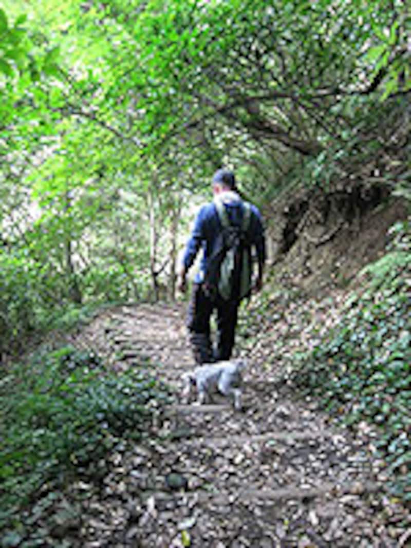 ショートコースでも意外な運動量