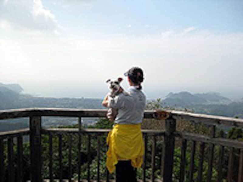 富山の山頂展望台