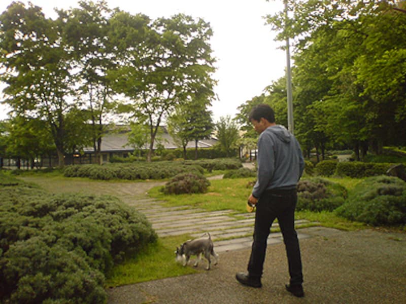 中央自動車道双葉SAのハーブ園