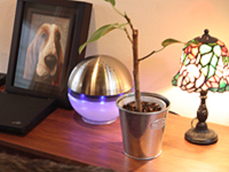 センスが光る室内