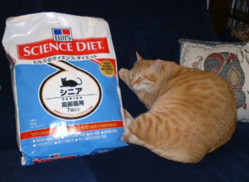 ご飯の横で…見る夢はご飯のこと???