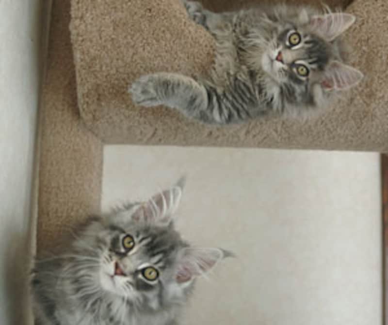 ボクたちにも、入ってます！