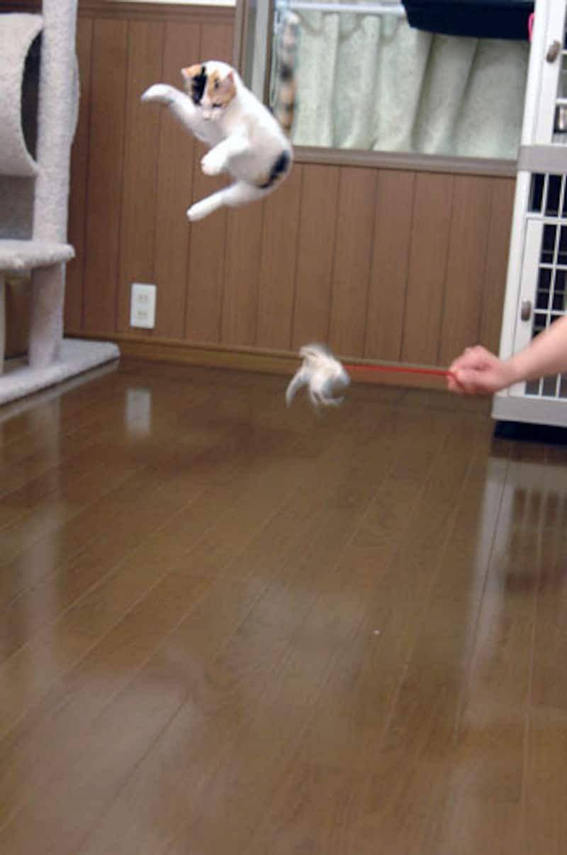 ジャンプする瞳子さん