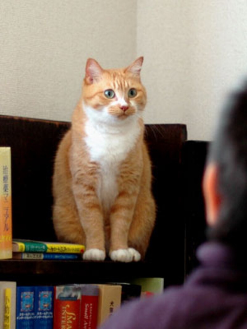 ピイタンちゃん