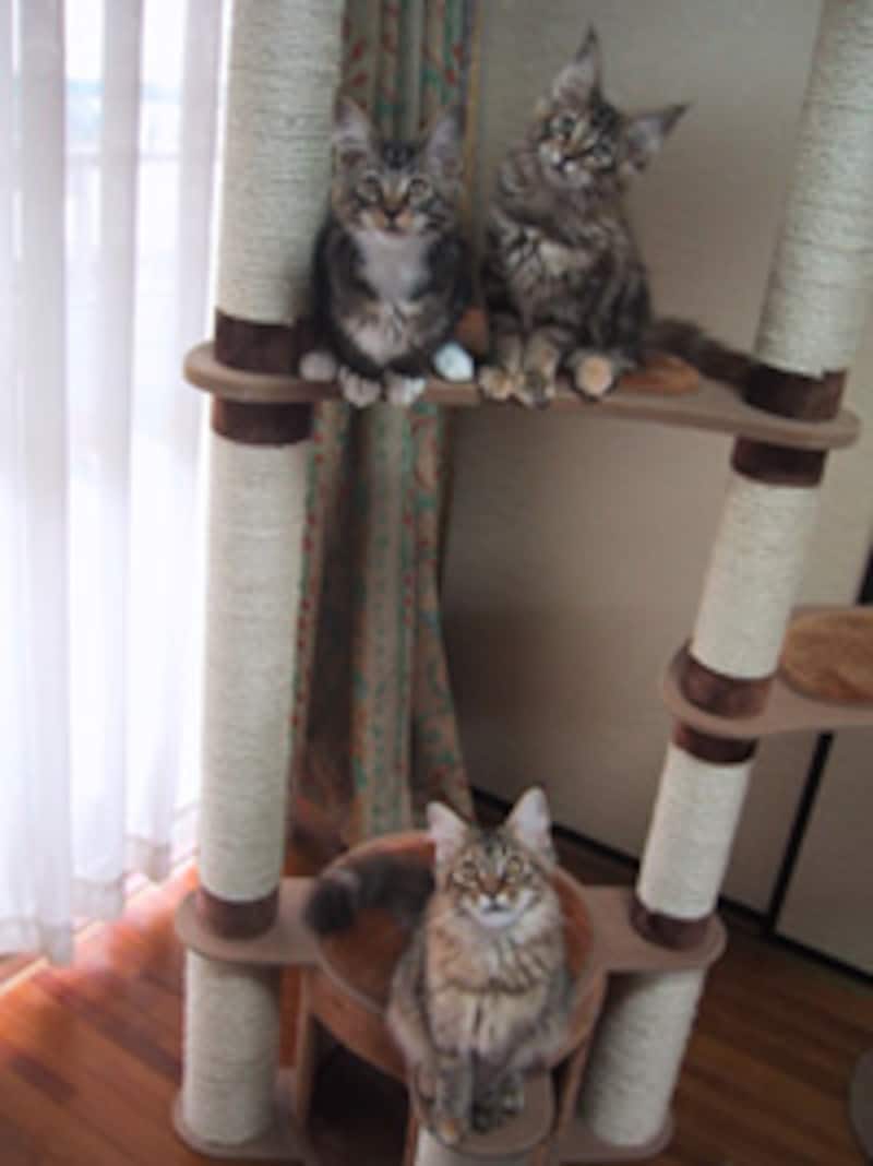 写真展は、こんな感じです