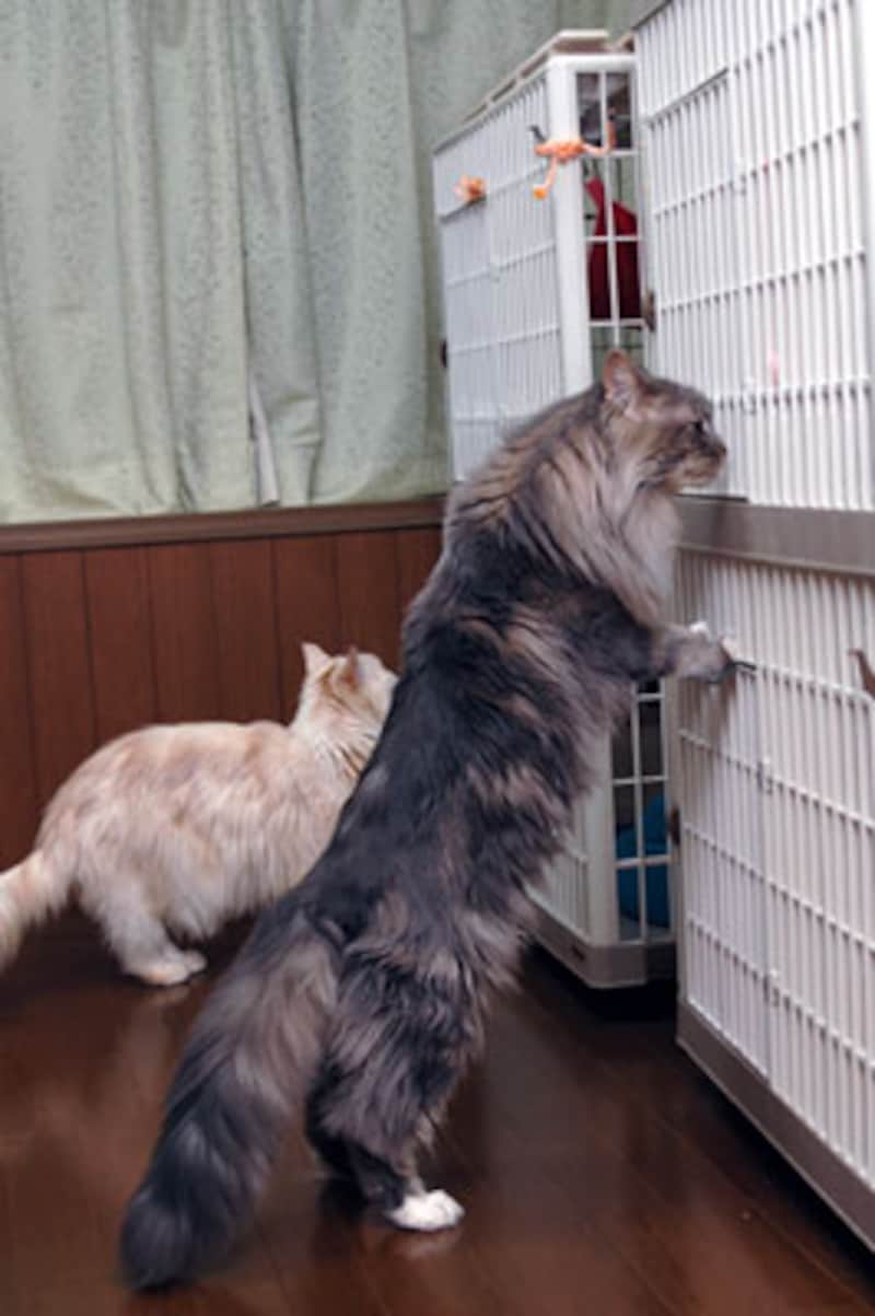先住さんは興味津々