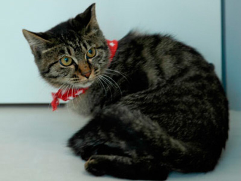 交通事故で病院に運ばれました。。