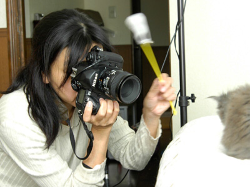 こにゃんに話しかけ、おもちゃを振りながら