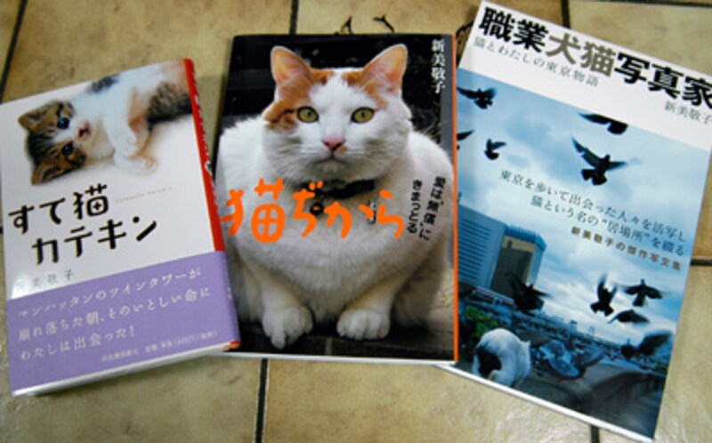 新美さんの著書の一部です