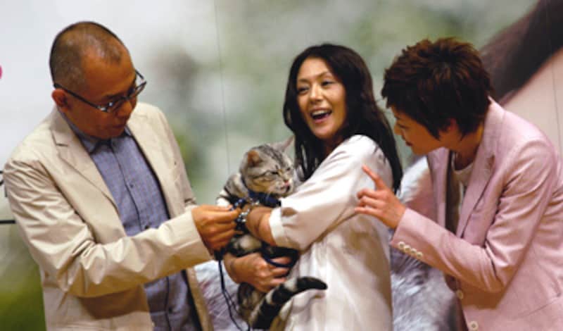 ストロボに驚いて、隠れたいグーグー