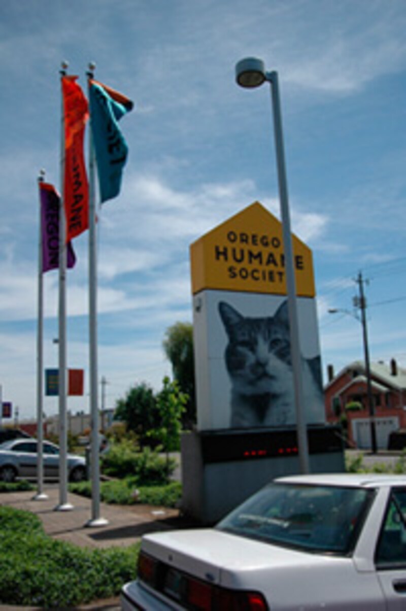 大きな看板・裏は犬の写真