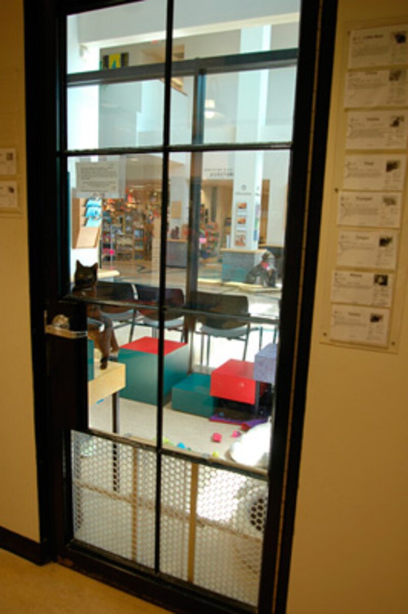 猫のいる部屋の向こうがロビーとギフトショップです