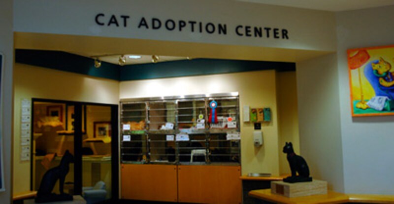 猫用の施設の入り口です