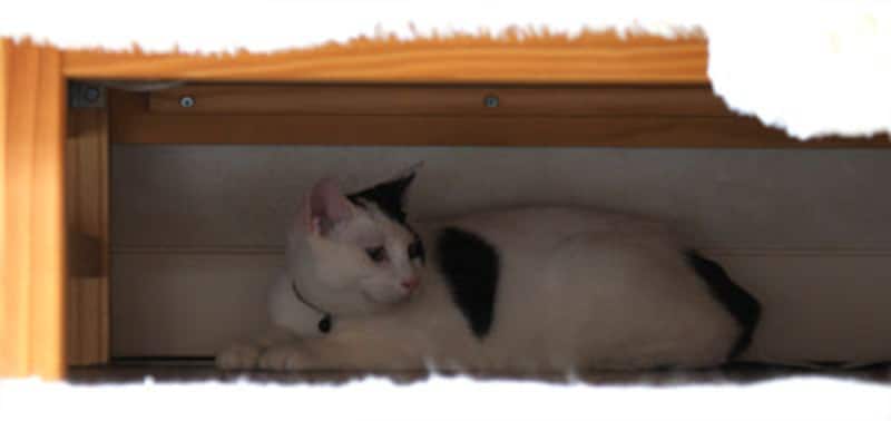 余裕のある間口の隠れ家を