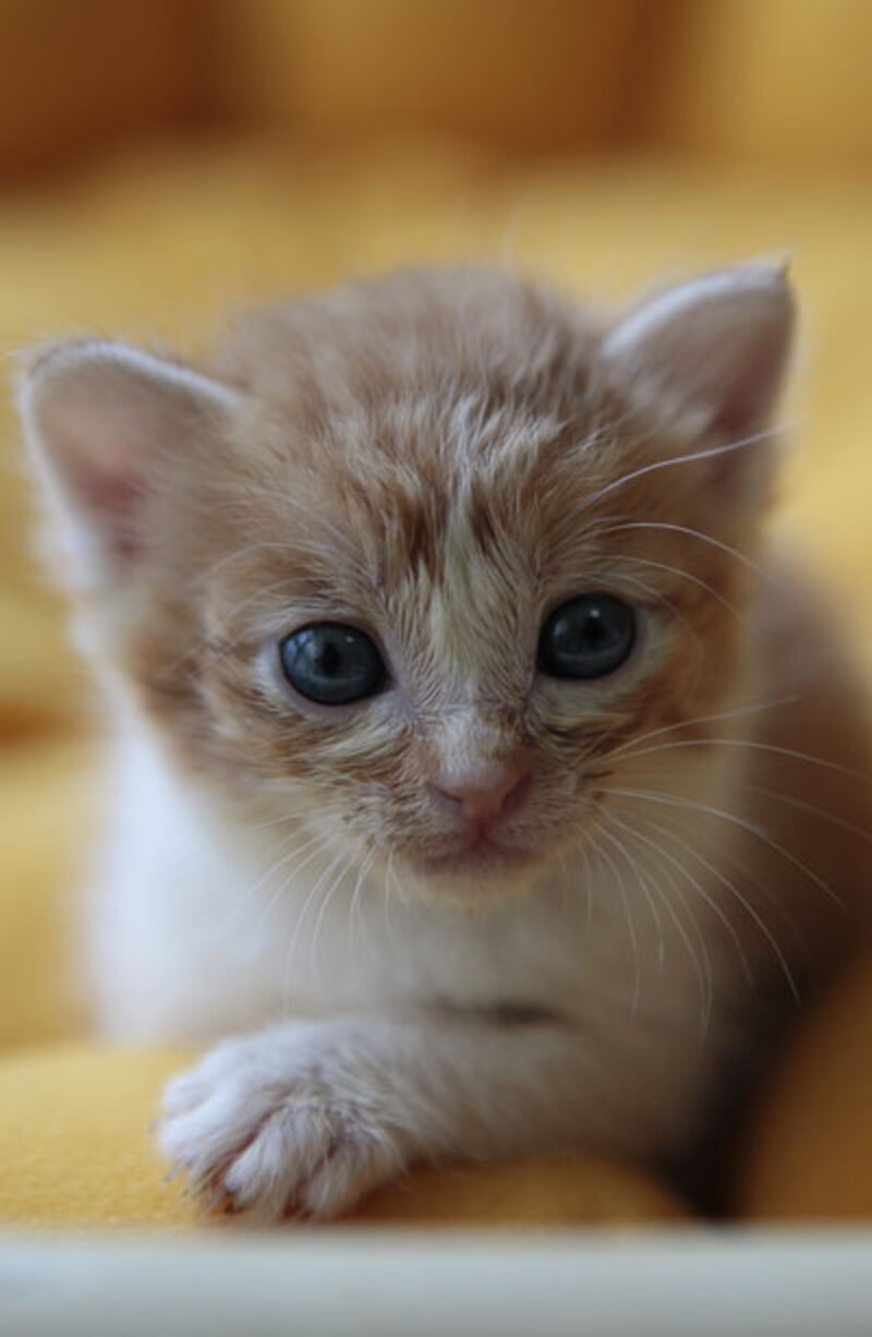 保護されて３０日目