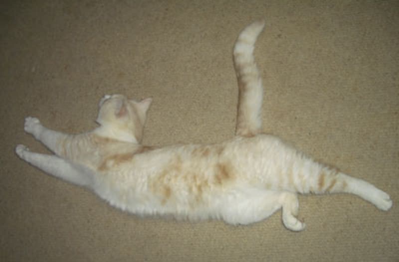 「さぶろく」くん