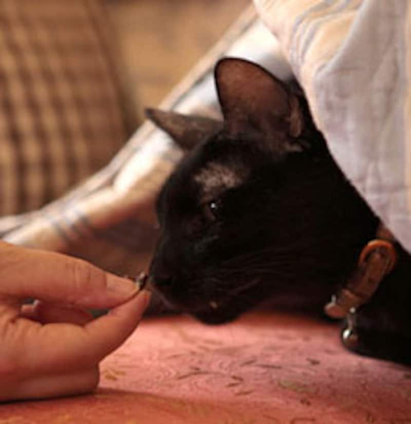 美味しいものには、目がないです！